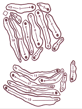 Golf Course Map